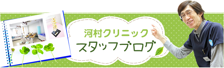 スタッフブログ ヒーロー画像